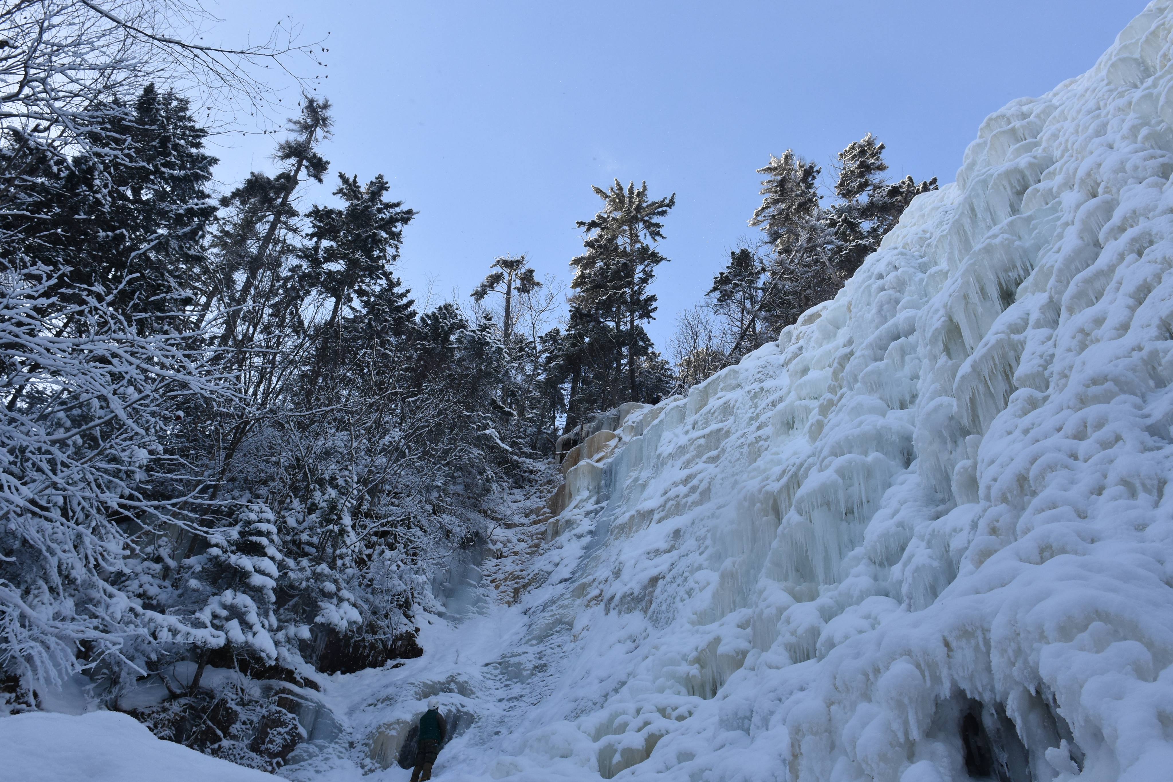 27144557_1564299790272762_1734011336_o